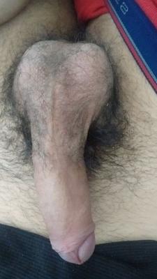 Nouvelles photos de ma bite, de mon cul