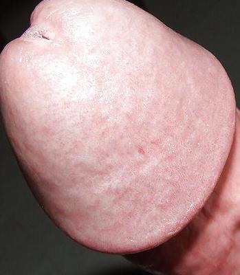 Beautiful Cock (Pre Cum)