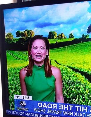 Ginger Zee