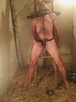 in the stable