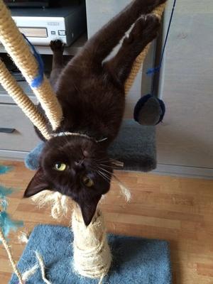 Meine Muschi))))