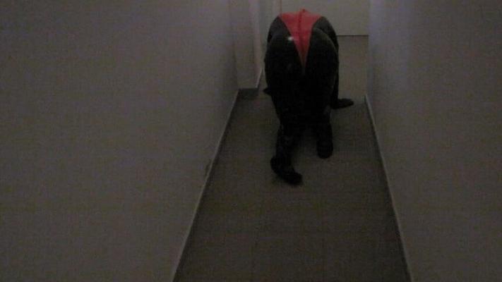 Petplay in latex suit ...