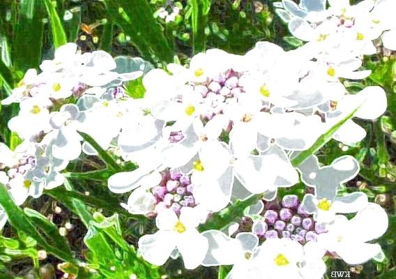 Abstract Photography