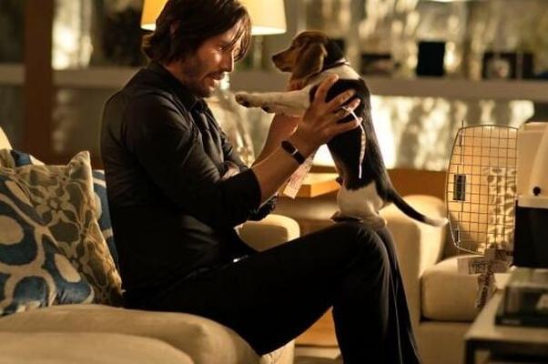 Bridget Moynahan in John Wick
