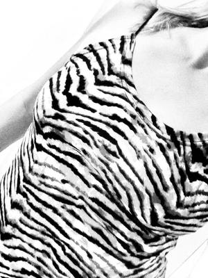 Tigerweibchen