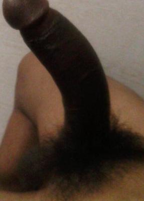 Assortment of my penis