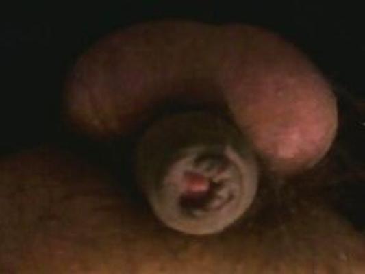 Honest dick pics