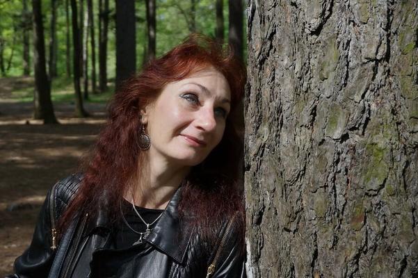 In Spring Forest