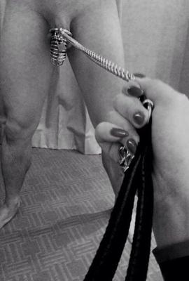 Chastity Leashes