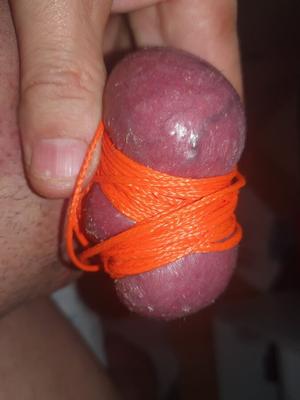 May dick