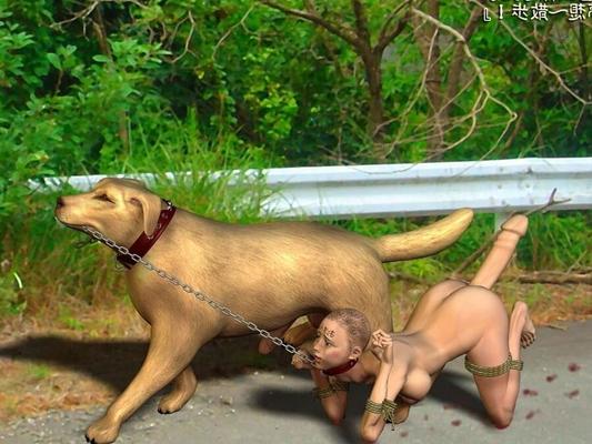 animaux de compagnie