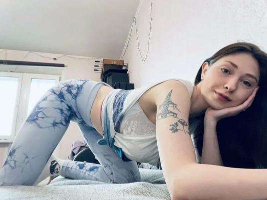 Lily Fox Free Photos