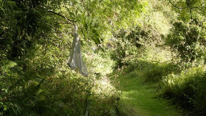 Walking in the woods nude Charity