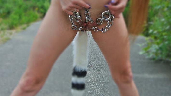 Seins N Chatte 37
