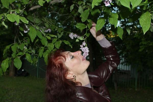 Lilac