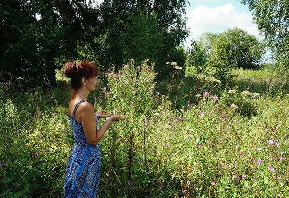 In blue dress in field