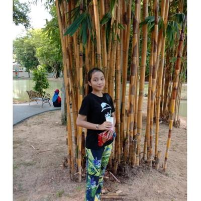 Nurul Hidayah