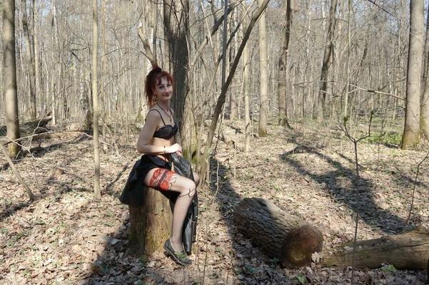 In Spring Forest