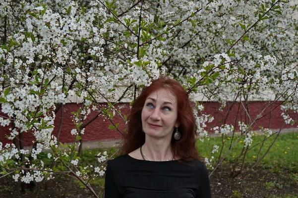 In weißen Kirschblüten
