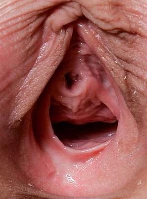 Gaping Cunt n Ass
