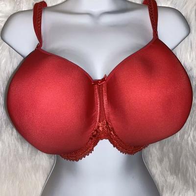 大きなブラジャー