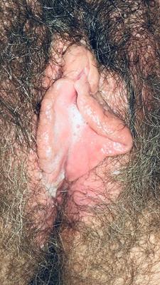 MA FEMME CHATTE POILU A VIERTEL PATTES