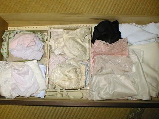 Nylon Panties