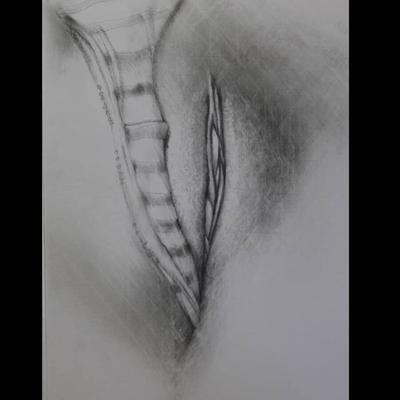 ARTE