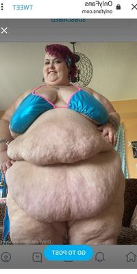 Hoodyman SSBBW . Reenaye Starr fox special .