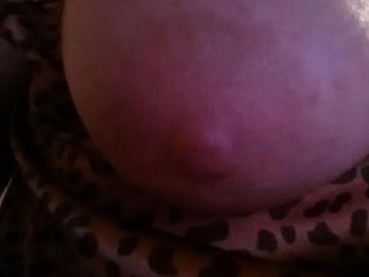 Мои друзья и жены xHamster