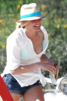 Nips