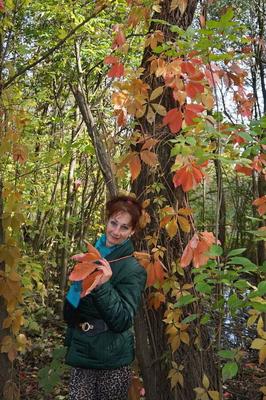 Autumn plot