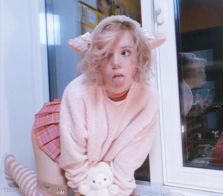 Ki-ki-kitten! Free Photos - 13 Pics
