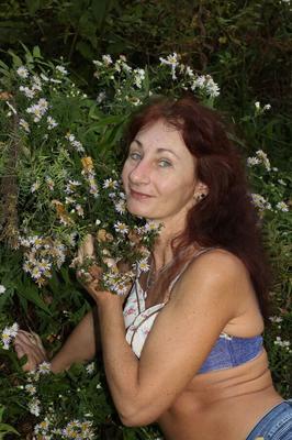 In autumn daisies