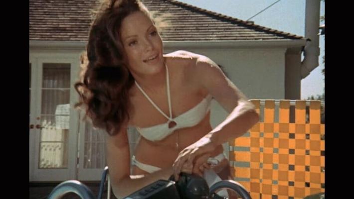 The Incredible Jaclyn Smith