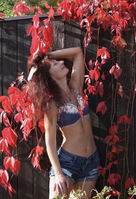 In red leaves