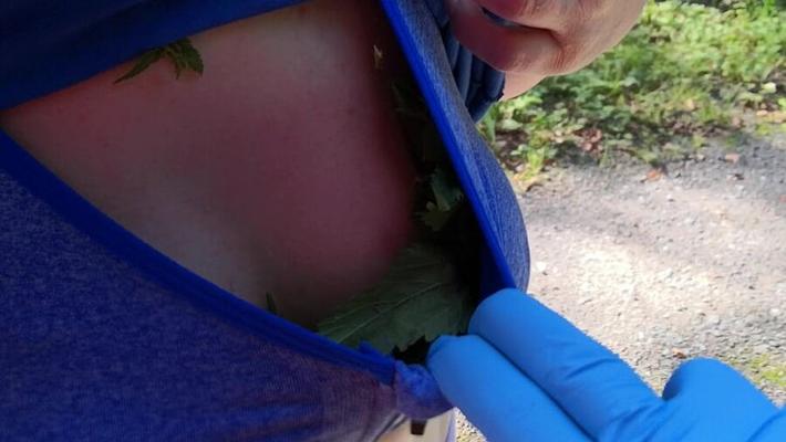 Put some nettles in my bra