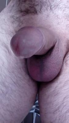 Freshly shaved....
