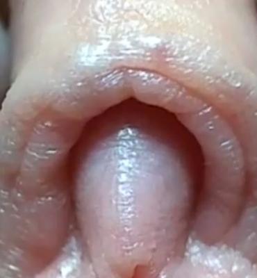 Sex home