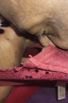 Licking Pussy, Ass and Panty - 30 Pics