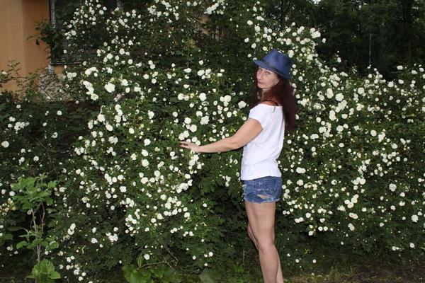 Summer Evening Shoot