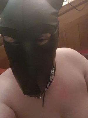 Pet play