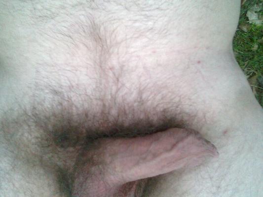 Neue Bilder Haustier