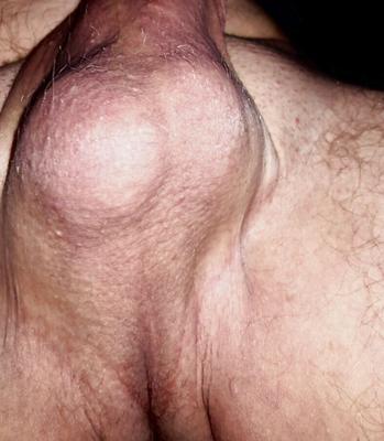 Balls wanna lick them?