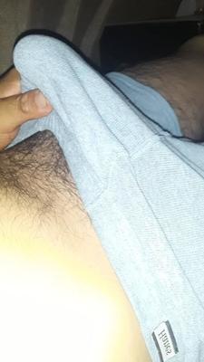 -- Neue Bilder
