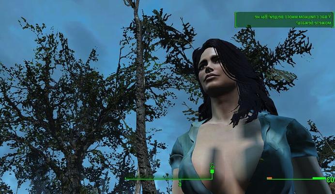 Porno Game (Fallout 4 Sex)