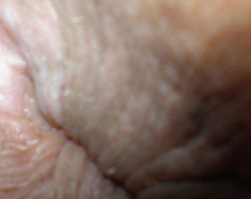 My yo horny butthole