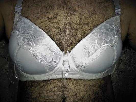 sister bras