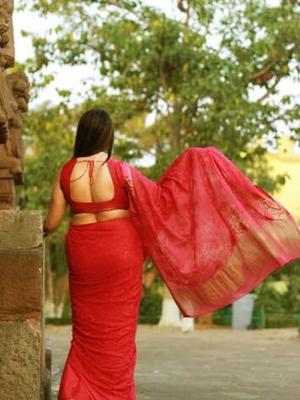Desi indian mature saree