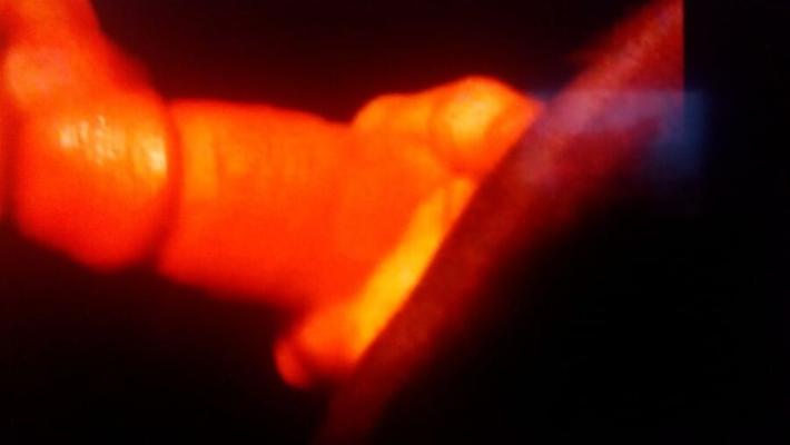sucking random cock